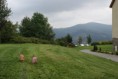 /album/zitkova-biele-karpaty/dsc06089-jpg/